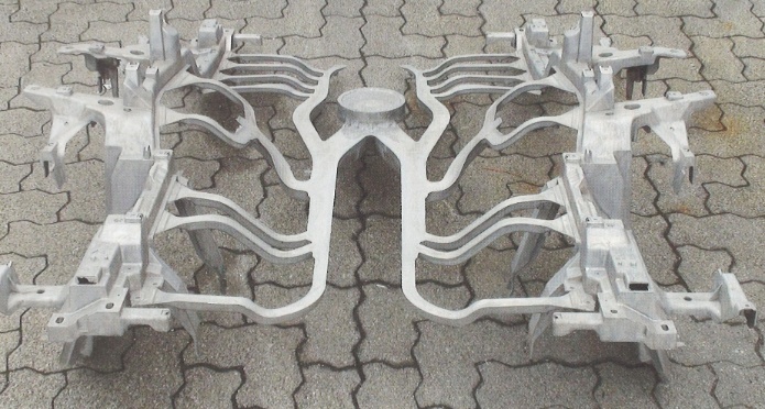 Anguss - Spinne Anguss