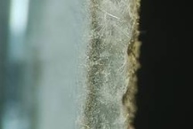 Querschnitt 3D Vlies Querschnitt